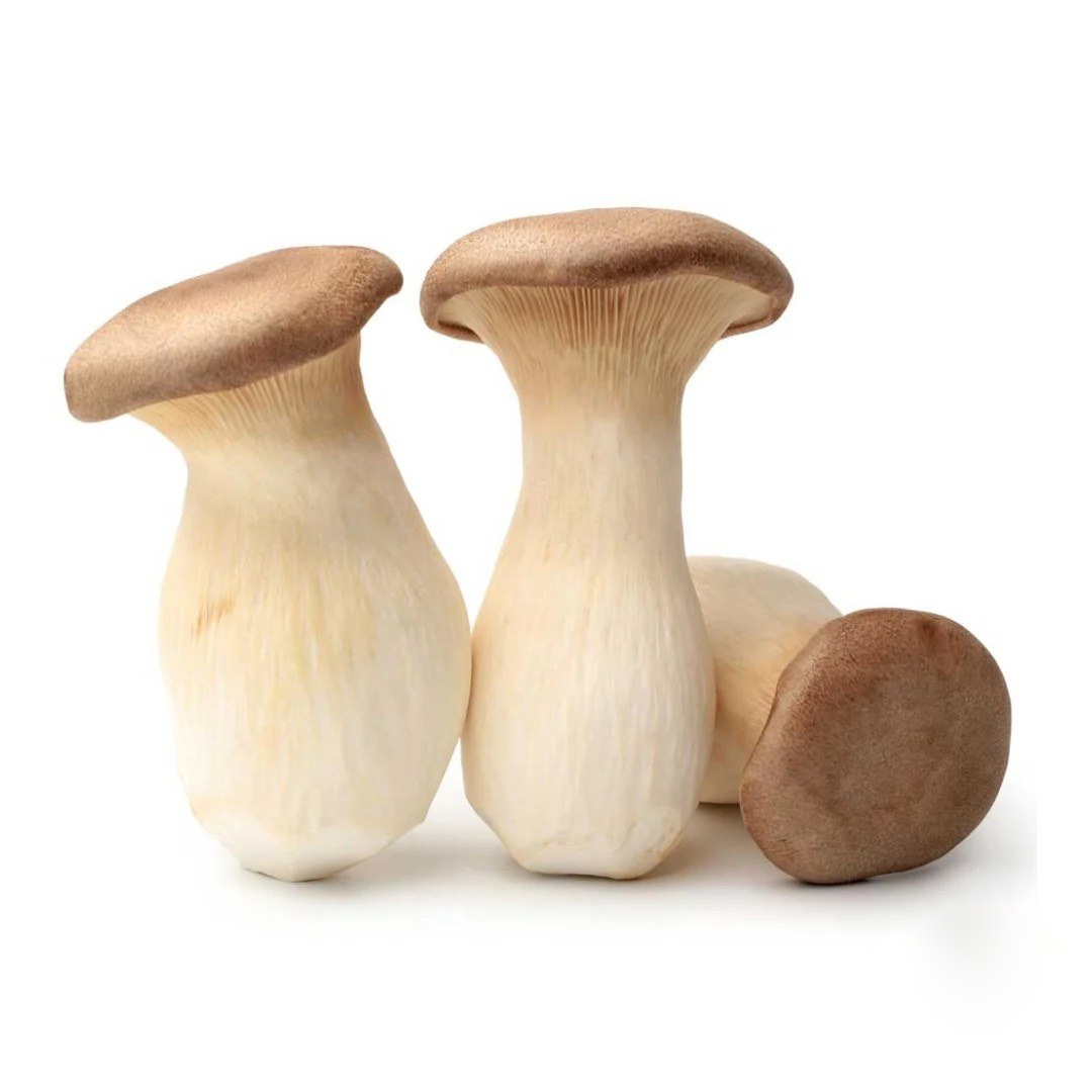 King trumpet mushrooms with thick ivory stems