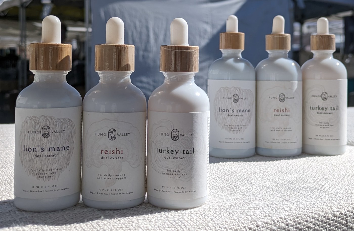 All four Fungi Valley tinctures