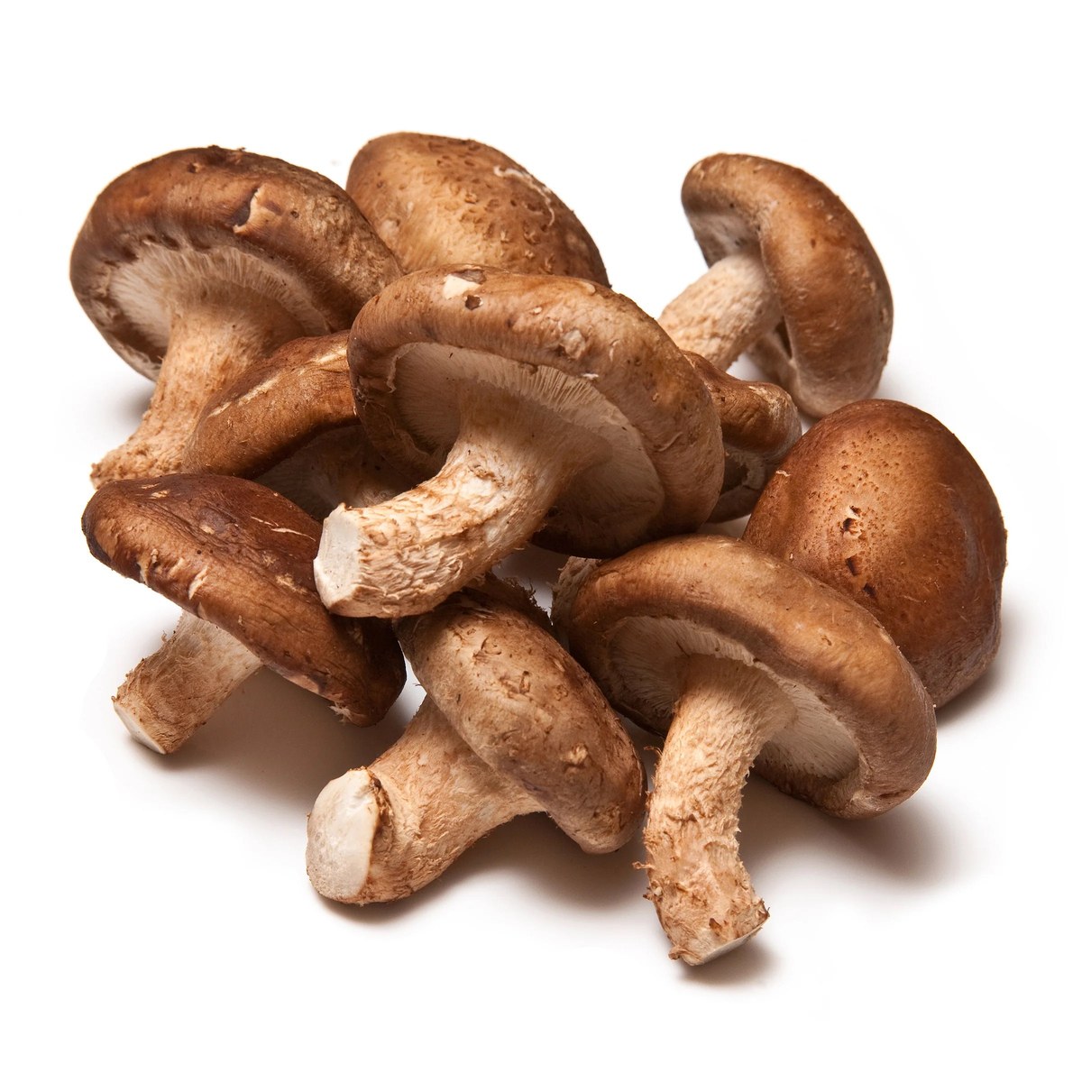 Fresh shiitake mushrooms